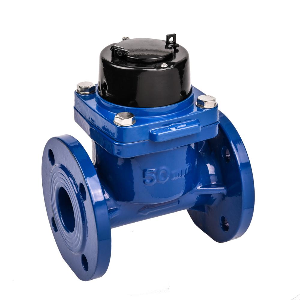 WLW-02-50E-300E Irrigation Water Meter - Bulk Water Meter by Winlink